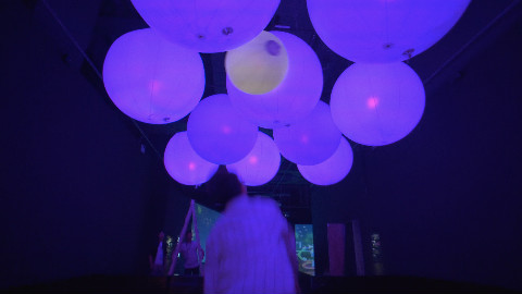 【Teamlab】网红展提前打卡人生必看十大展之一VlogS02E08